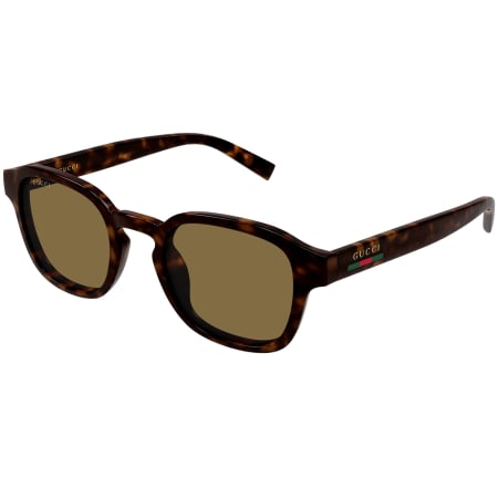 Gucci GG2106S Sunglasses Havana Brown | Mainline Menswear us